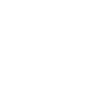 Icon-Image-1